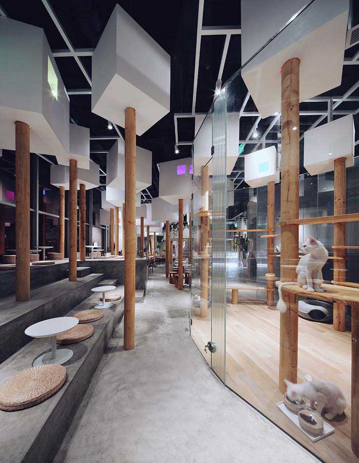 鄭州300m2動物主題咖啡廳設(shè)計效果圖